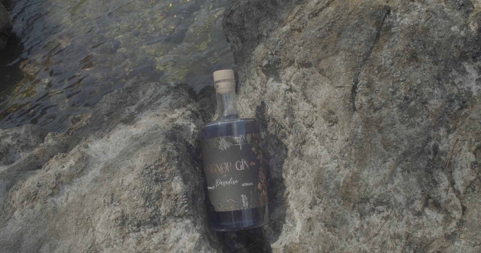 Paradise Signor Gin