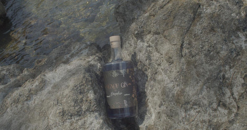 Paradise Signor Gin