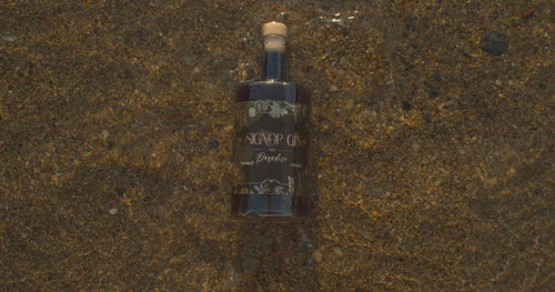 Balsamic Signor Gin