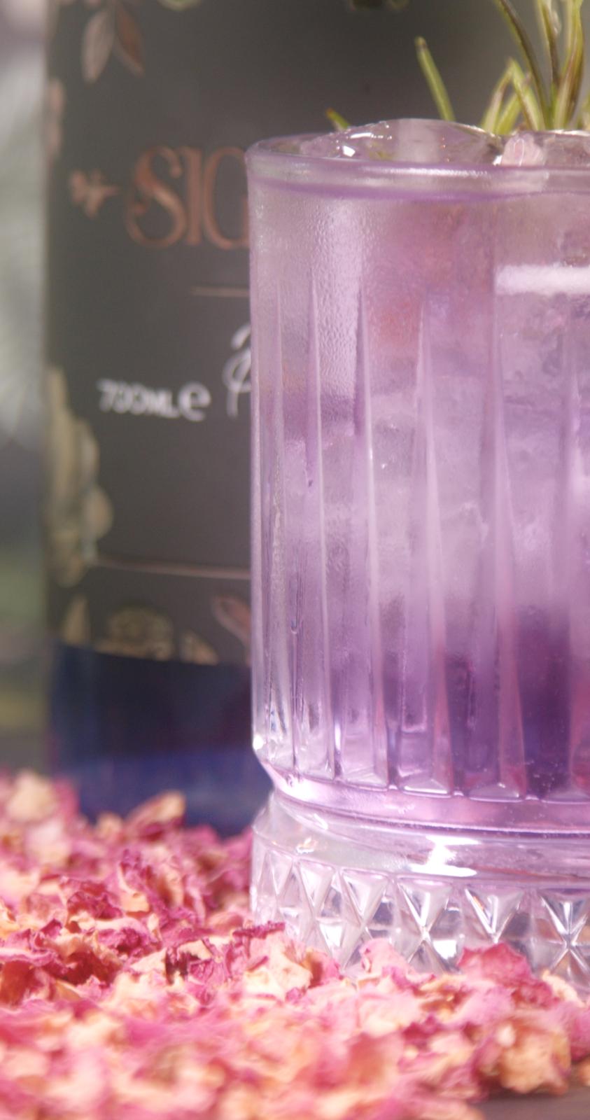 Paradise Signor Gin
